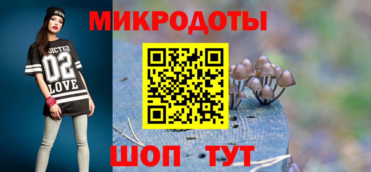 Великий Устюг  Псилоцибиновые грибы прущие грибы  Вход с VPN 